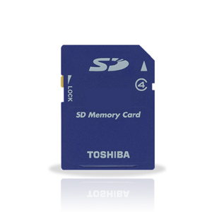 1GB to 8GB SD MEMORY CARD
